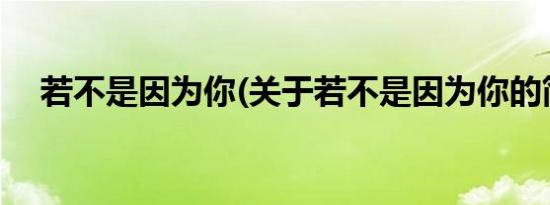 若不是因为你(关于若不是因为你的简介)