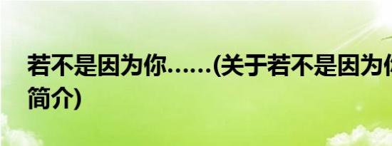 若不是因为你……(关于若不是因为你……的简介)