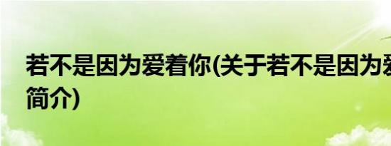 若不是因为爱着你(关于若不是因为爱着你的简介)