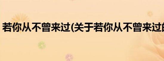 若你从不曾来过(关于若你从不曾来过的简介)