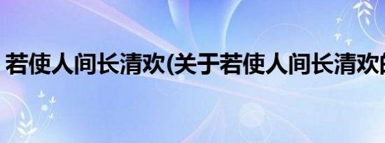 若使人间长清欢(关于若使人间长清欢的简介)