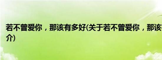 若不曾爱你，那该有多好(关于若不曾爱你，那该有多好的简介)