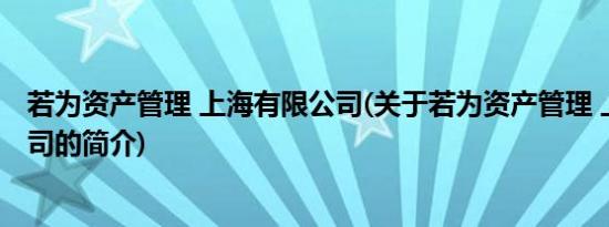 若为资产管理 上海有限公司(关于若为资产管理 上海有限公司的简介)