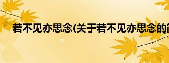 若不见亦思念(关于若不见亦思念的简介)