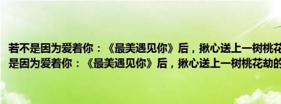 若不是因为爱着你：《最美遇见你》后，揪心送上一树桃花劫(关于若不是因为爱着你：《最美遇见你》后，揪心送上一树桃花劫的简介)