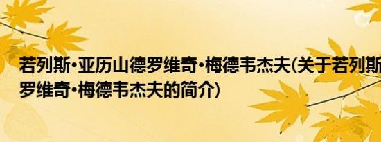 若列斯·亚历山德罗维奇·梅德韦杰夫(关于若列斯·亚历山德罗维奇·梅德韦杰夫的简介)