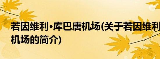 若因维利·库巴唐机场(关于若因维利·库巴唐机场的简介)