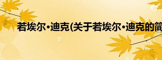 若埃尔·迪克(关于若埃尔·迪克的简介)