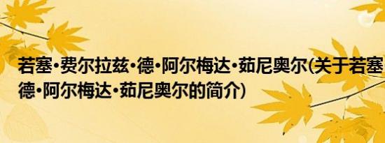 若塞·费尔拉兹·德·阿尔梅达·茹尼奥尔(关于若塞·费尔拉兹·德·阿尔梅达·茹尼奥尔的简介)