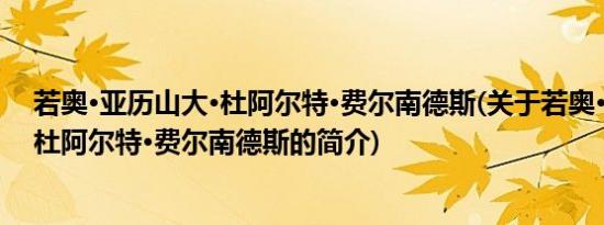 若奥·亚历山大·杜阿尔特·费尔南德斯(关于若奥·亚历山大·杜阿尔特·费尔南德斯的简介)