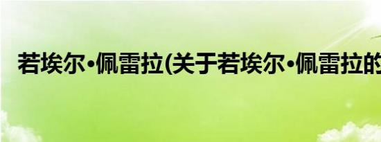 若埃尔·佩雷拉(关于若埃尔·佩雷拉的简介)