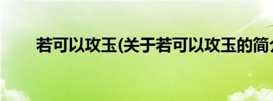 若可以攻玉(关于若可以攻玉的简介)