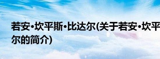 若安·坎平斯·比达尔(关于若安·坎平斯·比达尔的简介)