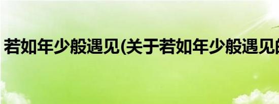 若如年少般遇见(关于若如年少般遇见的简介)