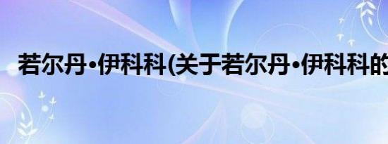 若尔丹·伊科科(关于若尔丹·伊科科的简介)