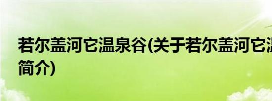 若尔盖河它温泉谷(关于若尔盖河它温泉谷的简介)