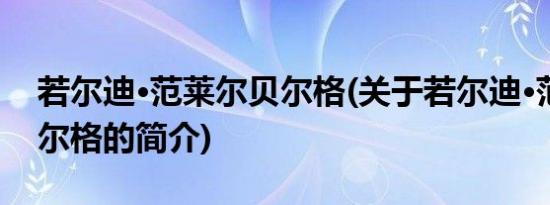 若尔迪·范莱尔贝尔格(关于若尔迪·范莱尔贝尔格的简介)