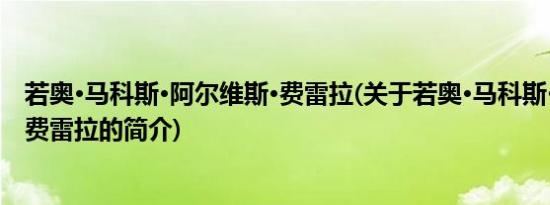 若奥·马科斯·阿尔维斯·费雷拉(关于若奥·马科斯·阿尔维斯·费雷拉的简介)