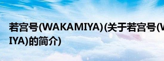 若宫号(WAKAMIYA)(关于若宫号(WAKAMIYA)的简介)