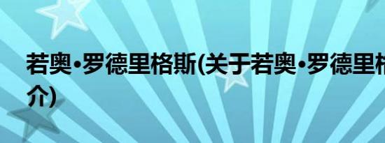 若奥·罗德里格斯(关于若奥·罗德里格斯的简介)