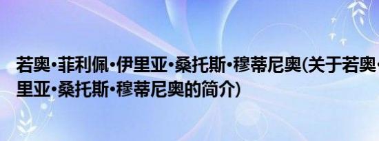 若奥·菲利佩·伊里亚·桑托斯·穆蒂尼奥(关于若奥·菲利佩·伊里亚·桑托斯·穆蒂尼奥的简介)