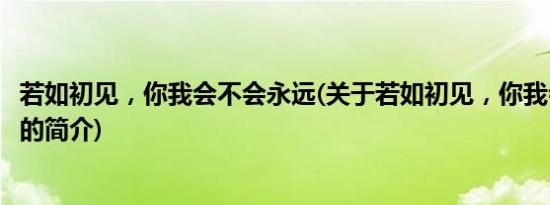 若如初见，你我会不会永远(关于若如初见，你我会不会永远的简介)