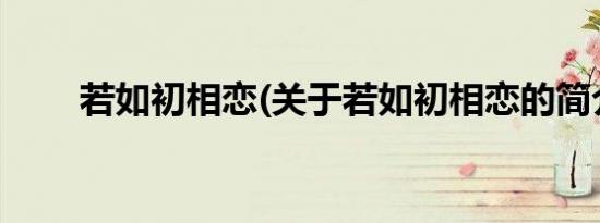 若如初相恋(关于若如初相恋的简介)