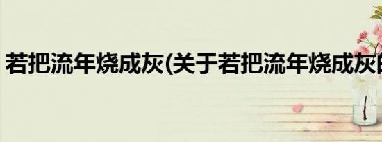 若把流年烧成灰(关于若把流年烧成灰的简介)