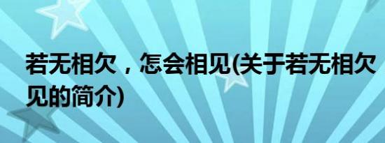 若无相欠，怎会相见(关于若无相欠，怎会相见的简介)