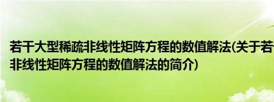 若干大型稀疏非线性矩阵方程的数值解法(关于若干大型稀疏非线性矩阵方程的数值解法的简介)