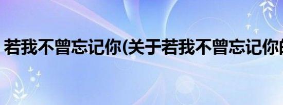 若我不曾忘记你(关于若我不曾忘记你的简介)