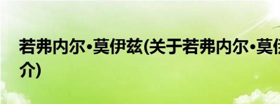 若弗内尔·莫伊兹(关于若弗内尔·莫伊兹的简介)