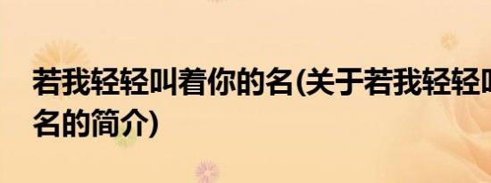 若我轻轻叫着你的名(关于若我轻轻叫着你的名的简介)