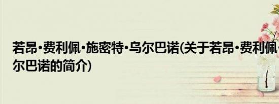 若昂·费利佩·施密特·乌尔巴诺(关于若昂·费利佩·施密特·乌尔巴诺的简介)