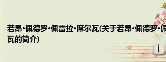 若昂·佩德罗·佩雷拉·席尔瓦(关于若昂·佩德罗·佩雷拉·席尔瓦的简介)