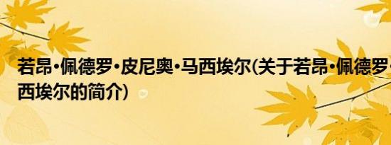 若昂·佩德罗·皮尼奥·马西埃尔(关于若昂·佩德罗·皮尼奥·马西埃尔的简介)