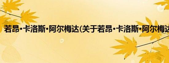 若昂·卡洛斯·阿尔梅达(关于若昂·卡洛斯·阿尔梅达的简介)