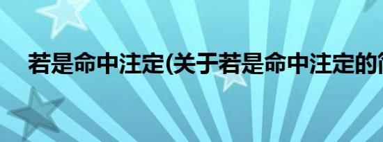 若是命中注定(关于若是命中注定的简介)