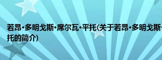 若昂·多明戈斯·席尔瓦·平托(关于若昂·多明戈斯·席尔瓦·平托的简介)