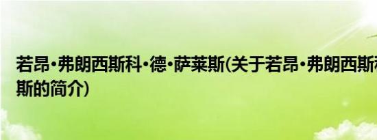 若昂·弗朗西斯科·德·萨莱斯(关于若昂·弗朗西斯科·德·萨莱斯的简介)