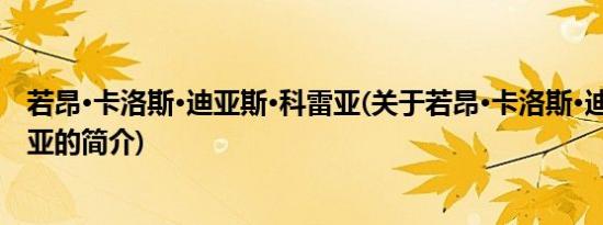 若昂·卡洛斯·迪亚斯·科雷亚(关于若昂·卡洛斯·迪亚斯·科雷亚的简介)