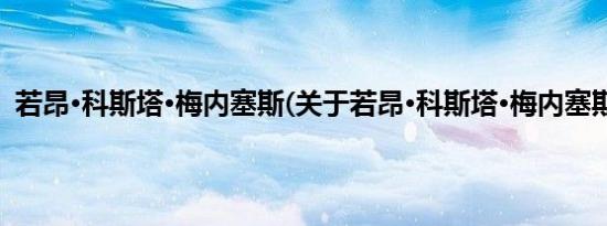 若昂·科斯塔·梅内塞斯(关于若昂·科斯塔·梅内塞斯的简介)