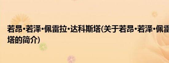 若昂·若泽·佩雷拉·达科斯塔(关于若昂·若泽·佩雷拉·达科斯塔的简介)