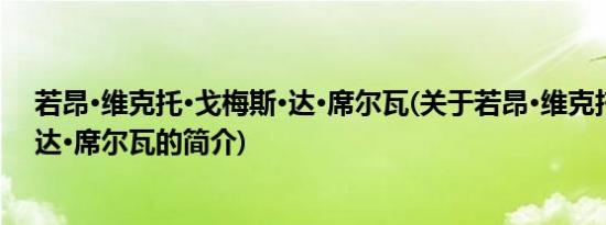 若昂·维克托·戈梅斯·达·席尔瓦(关于若昂·维克托·戈梅斯·达·席尔瓦的简介)