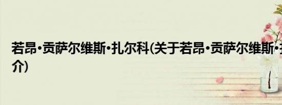 若昂·贡萨尔维斯·扎尔科(关于若昂·贡萨尔维斯·扎尔科的简介)