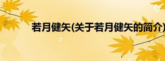 若月健矢(关于若月健矢的简介)