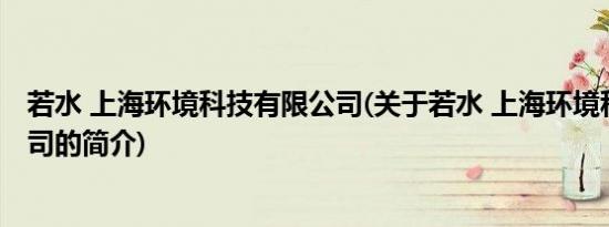 若水 上海环境科技有限公司(关于若水 上海环境科技有限公司的简介)