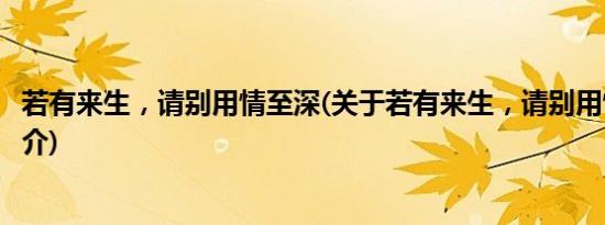 若有来生，请别用情至深(关于若有来生，请别用情至深的简介)