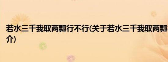 若水三千我取两瓢行不行(关于若水三千我取两瓢行不行的简介)