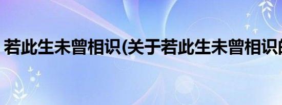 若此生未曾相识(关于若此生未曾相识的简介)